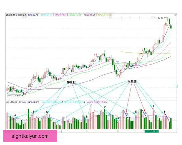 什克里尼亚尔持续稳定贡献,助力球队防线表现回暖 什克里尼亚尔持续稳定贡献,助力球队防线表现回暖